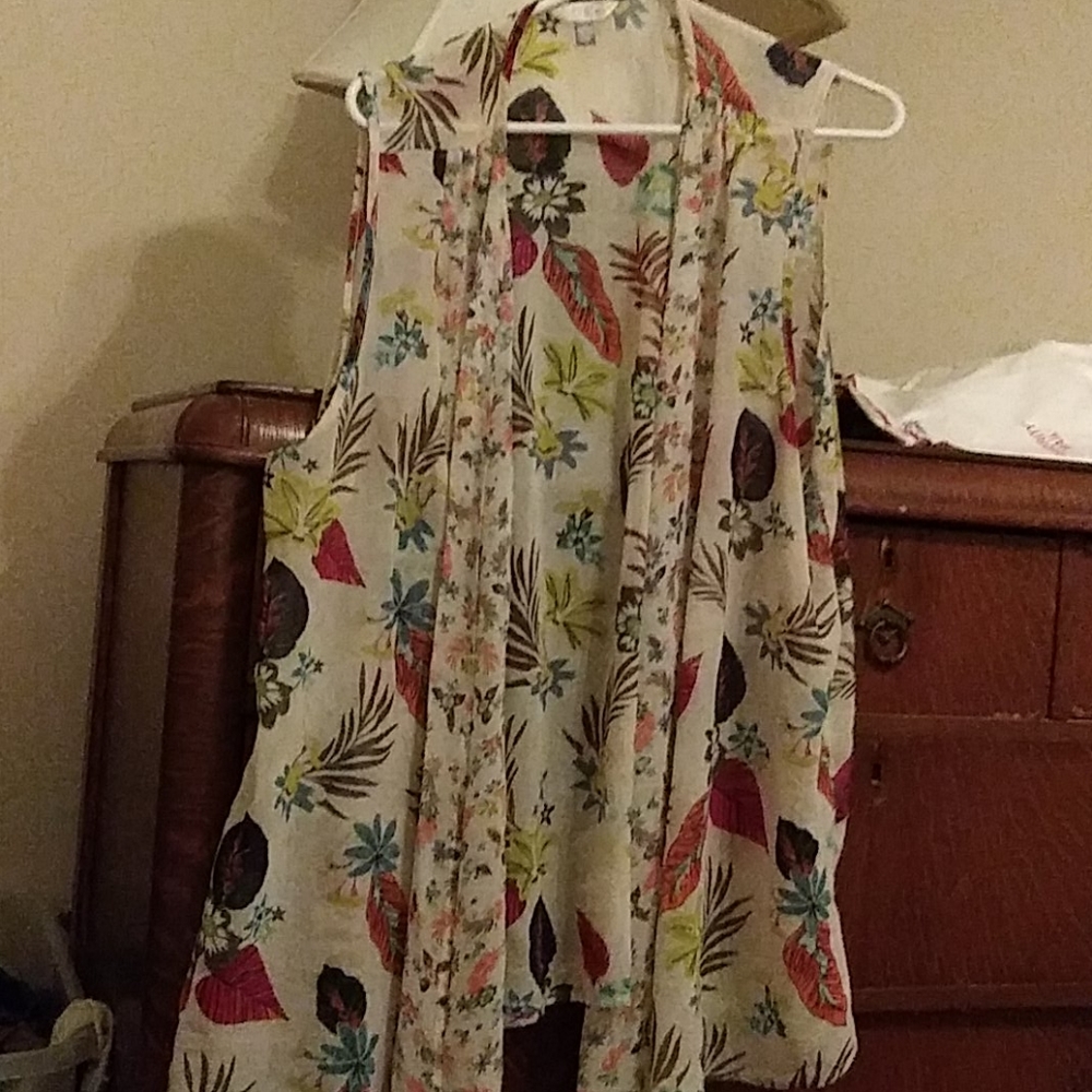 Sheer vest